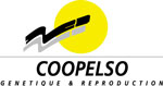 Logo de COOPELSO