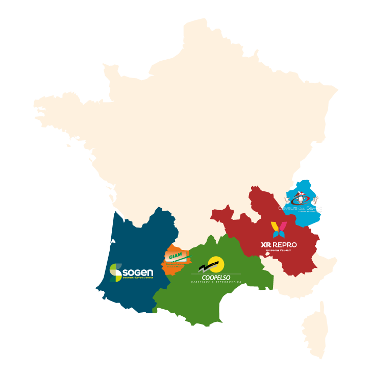 Union des 5 coopératives d’insémination et reproduction, du Sud de la France