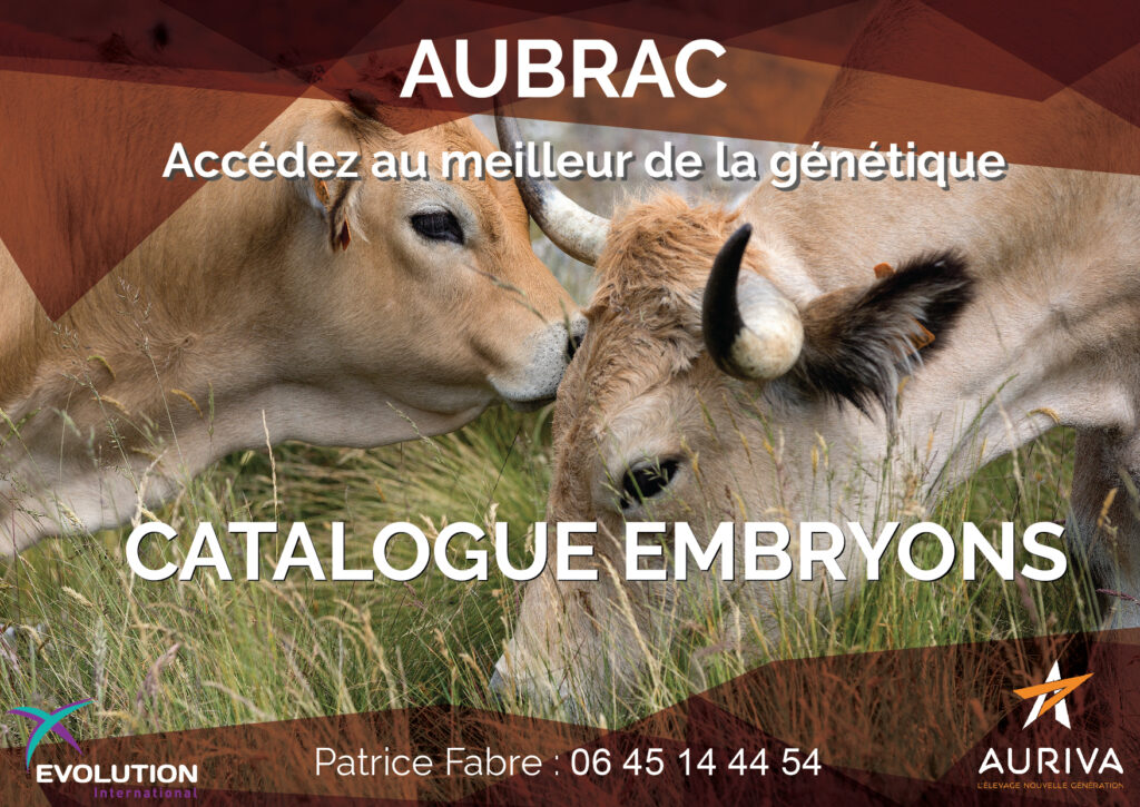 catalogue embryon Aubrac