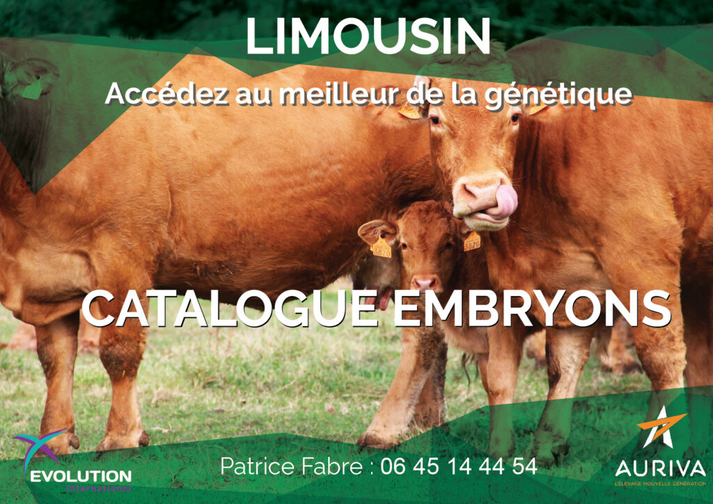 catalogue embryon Limousin