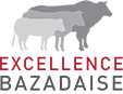 Logo Excellence bazadaise