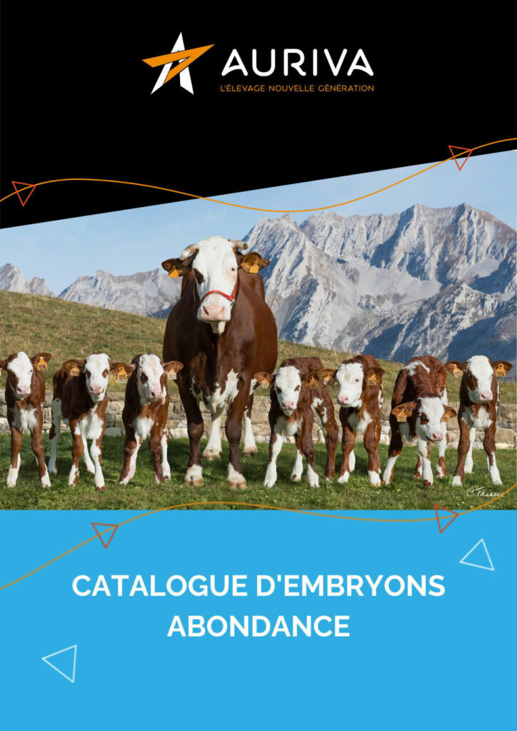 Catalogue Embryons Abondance