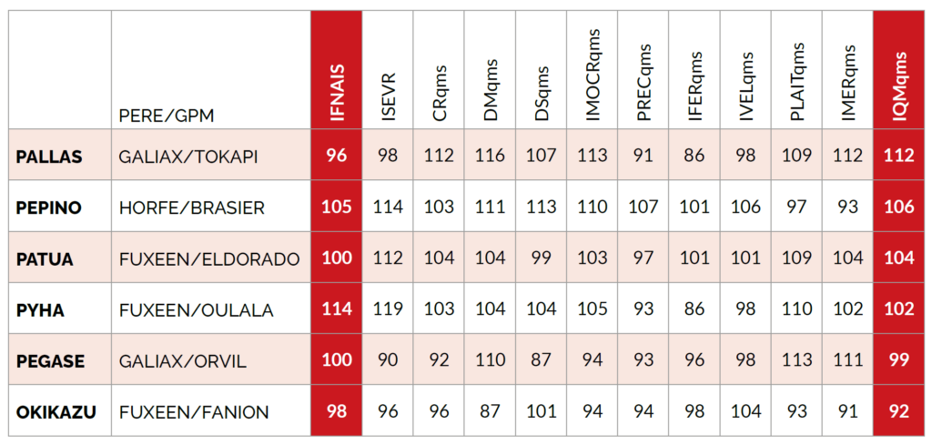 TABLEAU DES RESULTATS
DES TAUREAUX EVALUES
SUR LES QUALITES MATERNELLES SERIE « P »