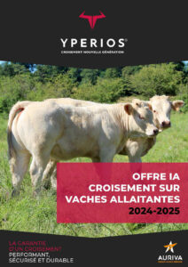 Catalogue YPERIOS AILLAITANT 2024