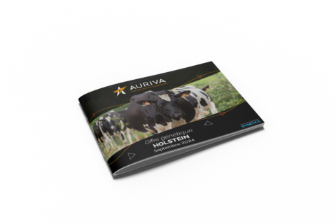 Catalogue Holstein 2024