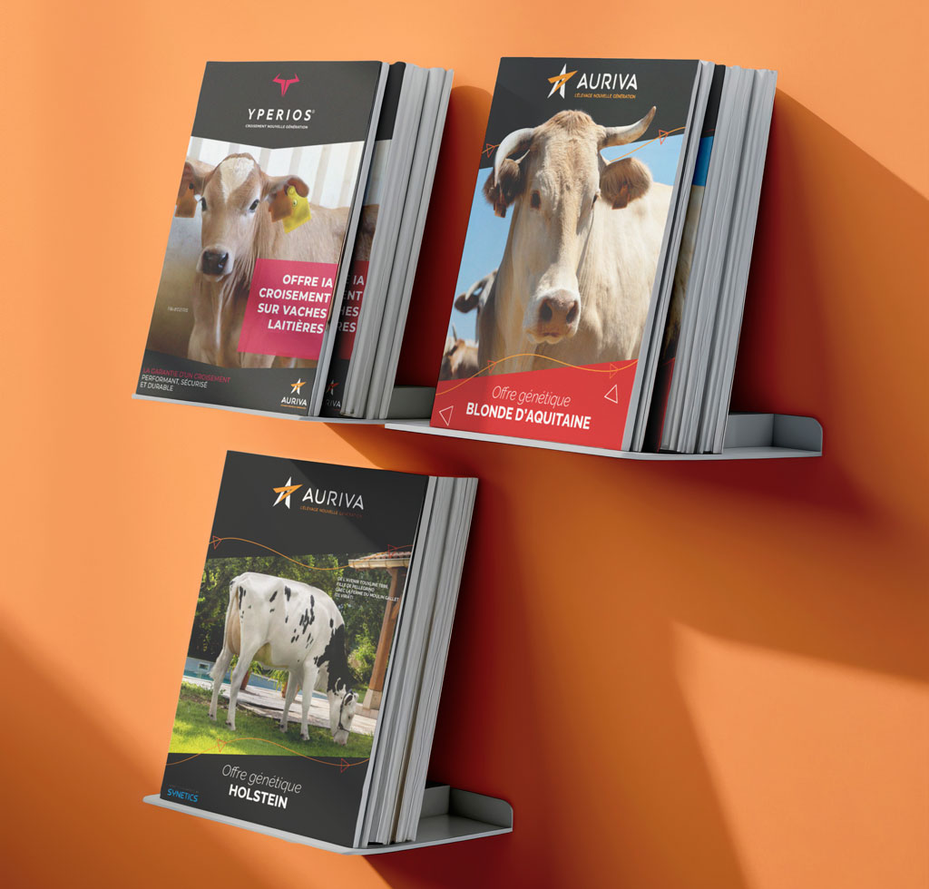 télécharger nos catalogues des offres taureaux en cours