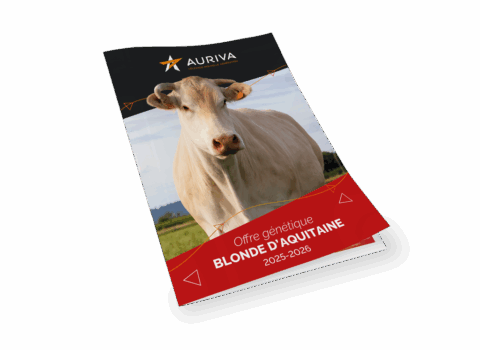 Mockup de la couverture du catalogue Blond 2026
