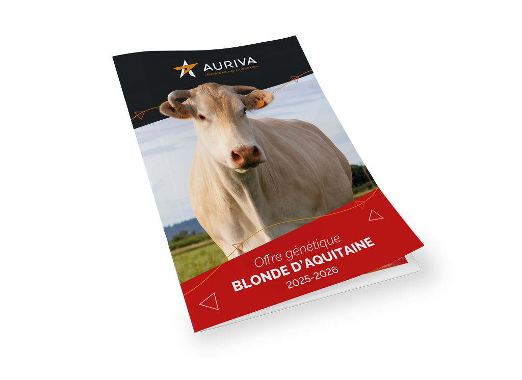 Mockup de la couverture du catalogue Blond 2026