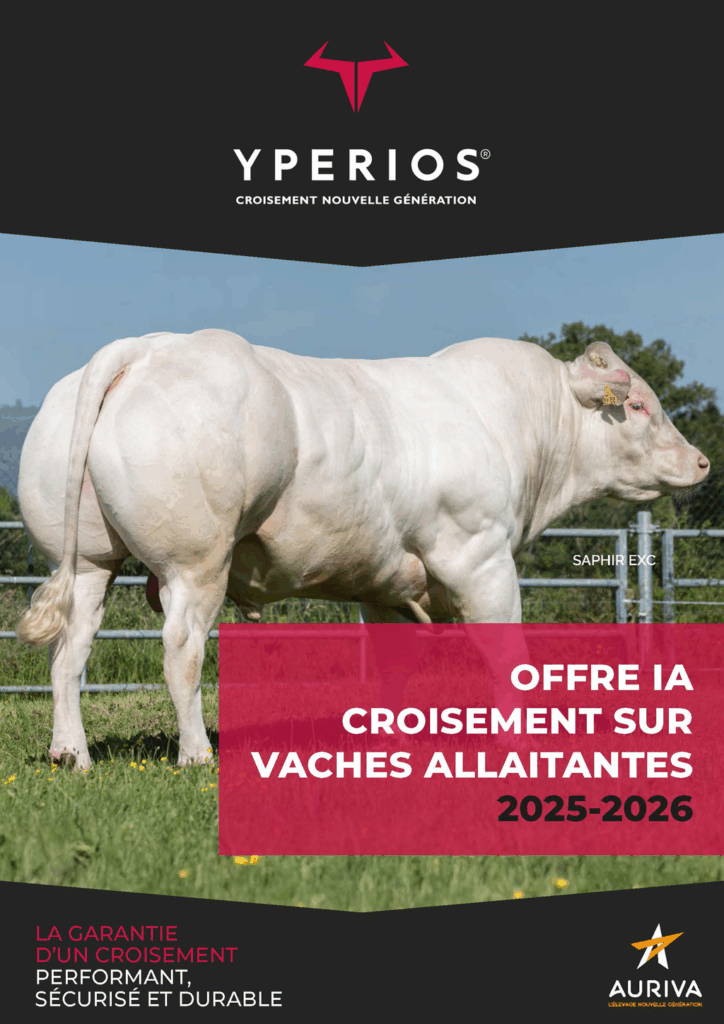 Couverture du catalogue YPERIOS sur Vaches allaitantes