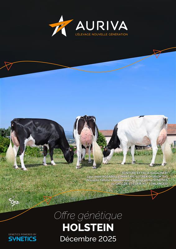 Catalogue Holstein decembre 2025