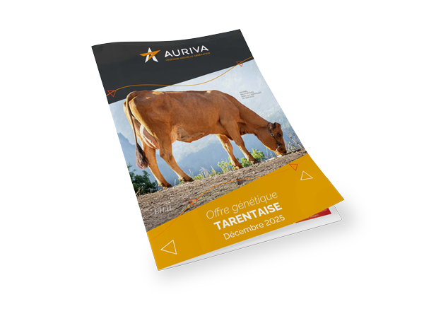 Catalogue Offre decembre 2025 TARINE