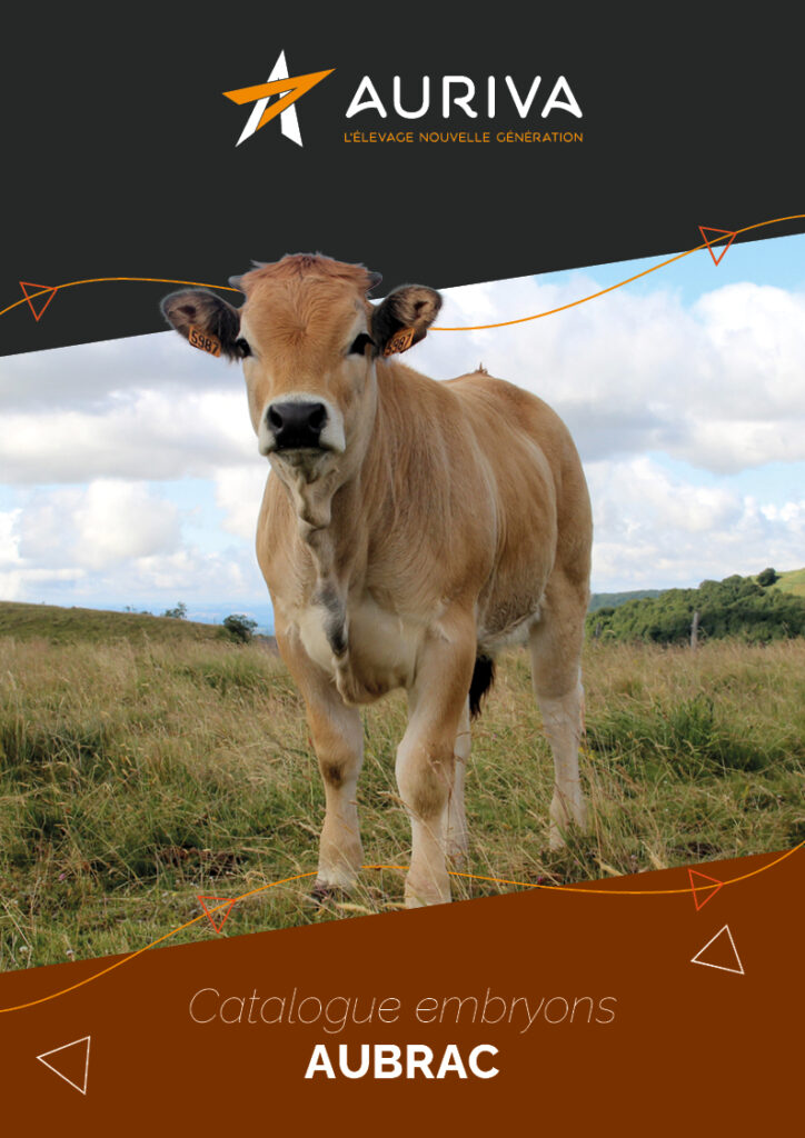 Catalogue embryons Aubrac