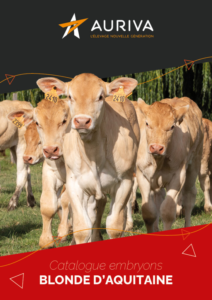 Catalogue embryons blond