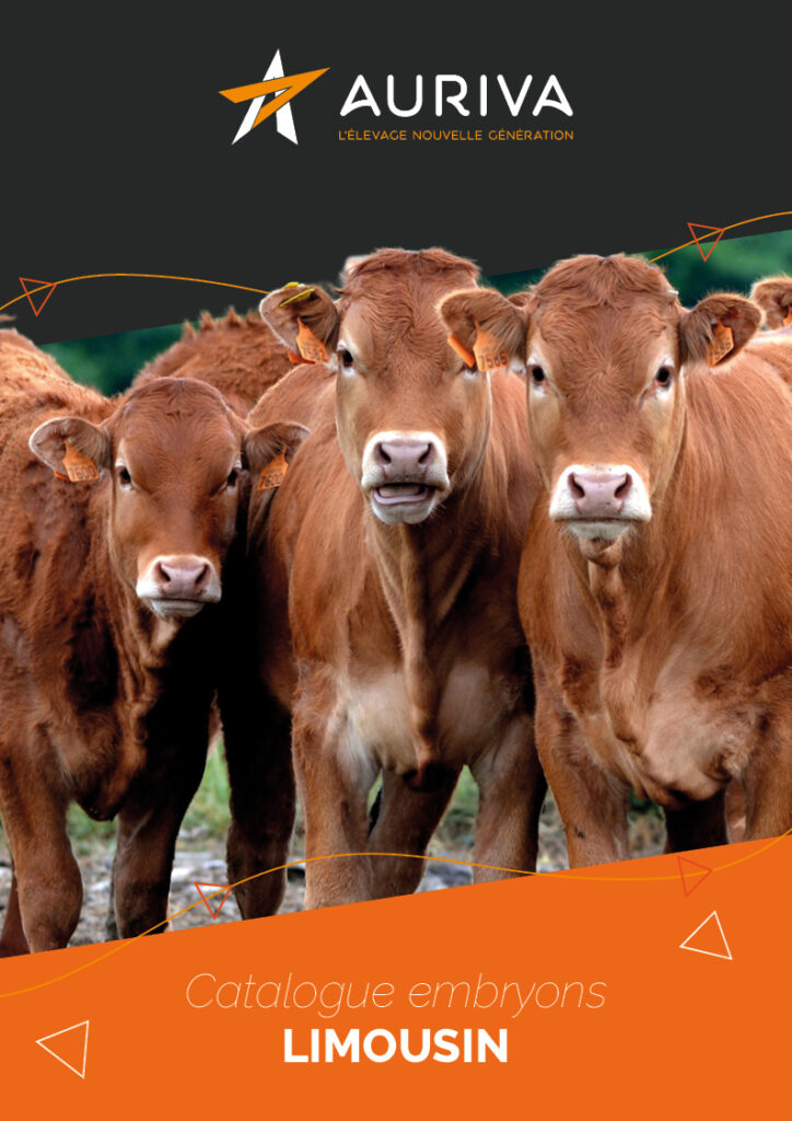 Catalogue embryons Limousin