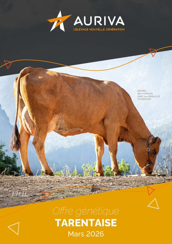 Catalogue Tarine Mars 2026