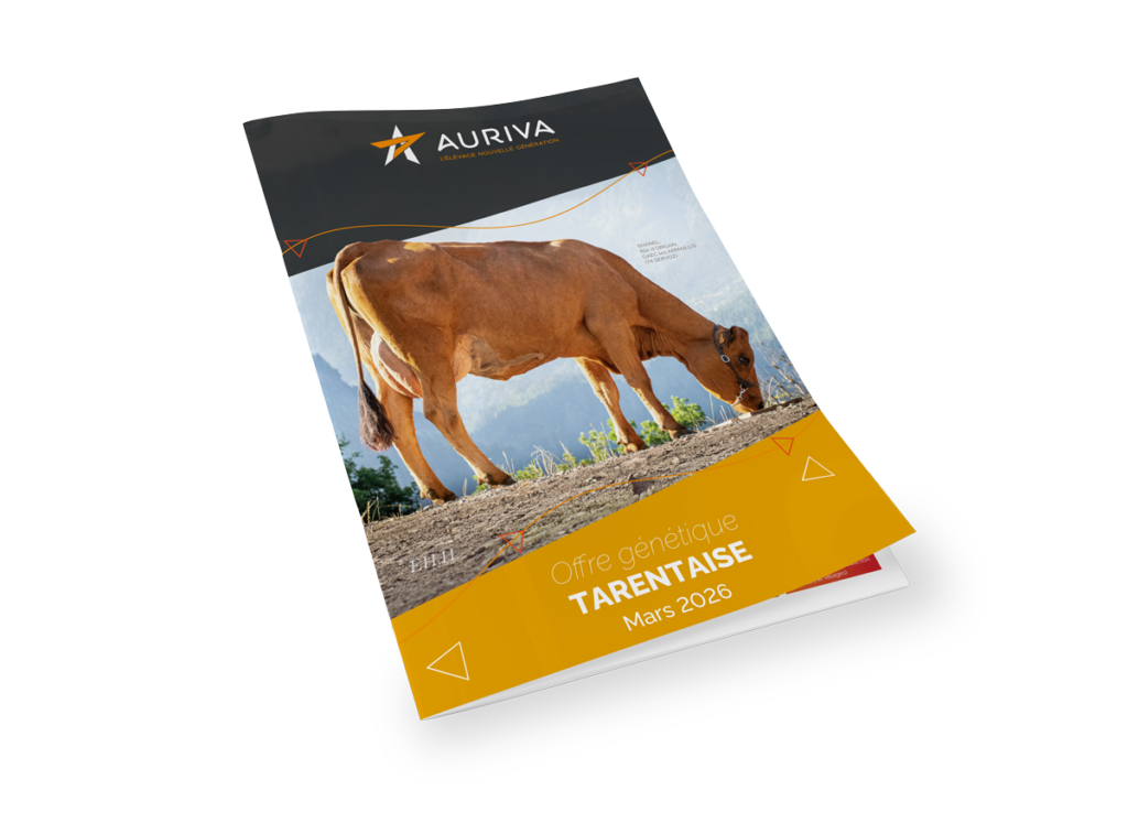 Catalogue Tarine Mars 2026