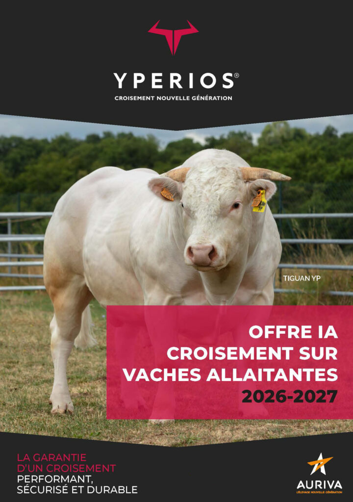 Catalogue YPERIOS Viande